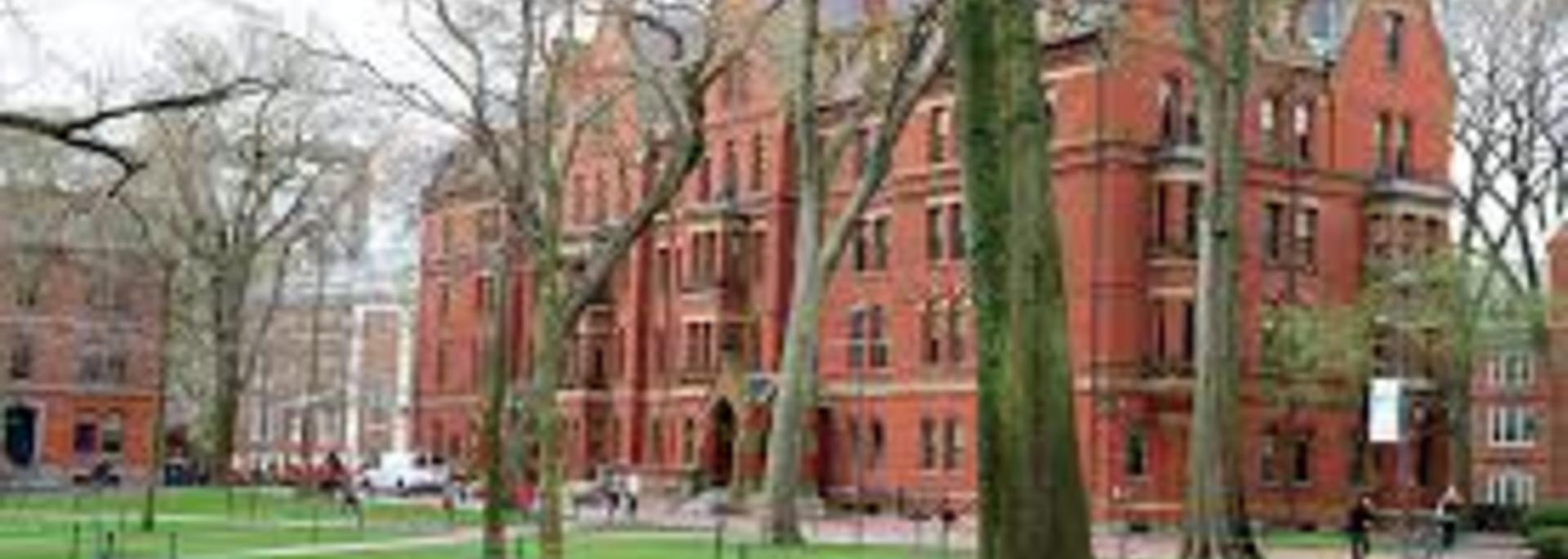 harvard.jpg